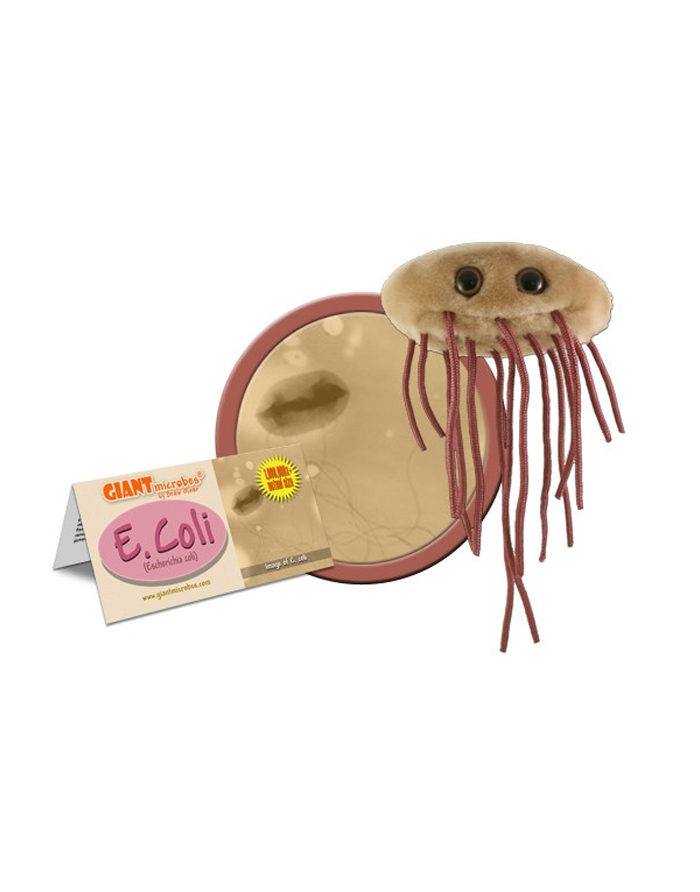 Giant Microbes E. Coli — plush E. coli bacteria toy for food safety education