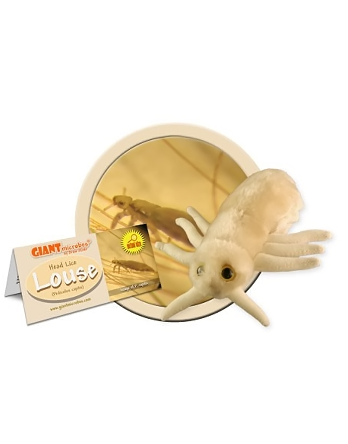Giant Microbes Head Lice — plush Pediculus capitis toy for school health education