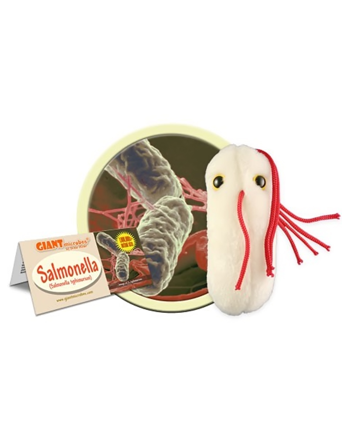 Giant Microbes Salmonella — plush salmonella bacteria toy for food safety training